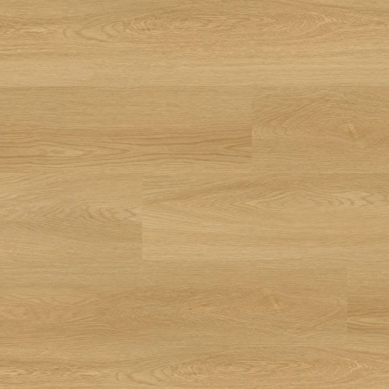 Bayside Buff - image 1