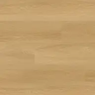 Bayside Buff - image 1