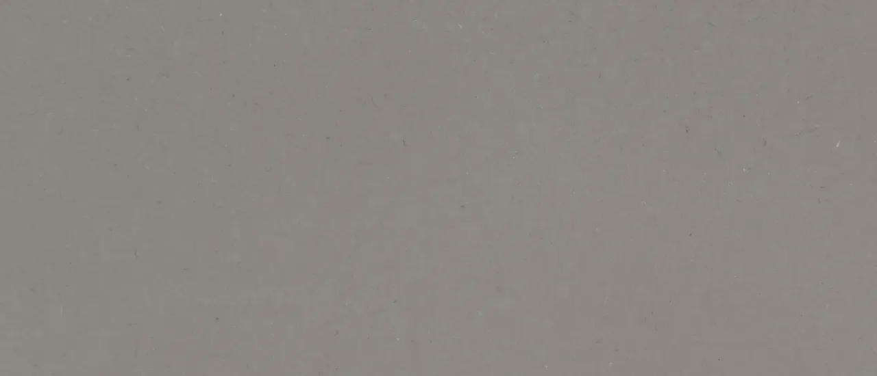 Fossil Gray® - image 2