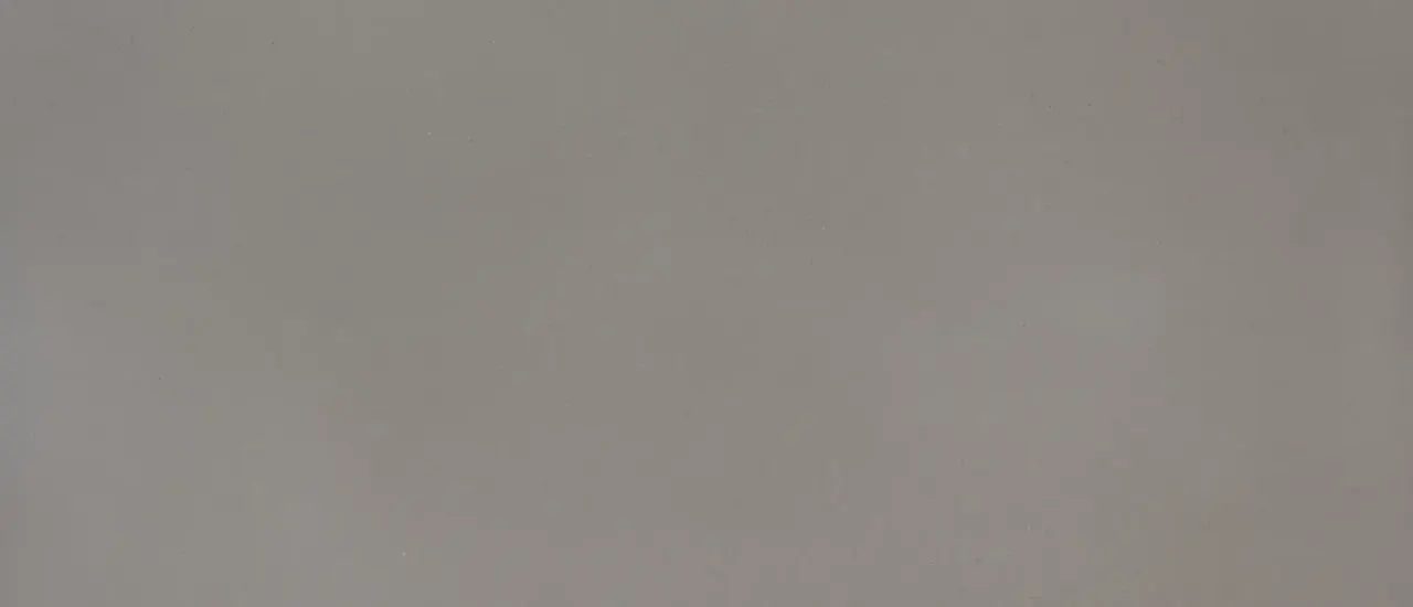 Fossil Gray® - image 3