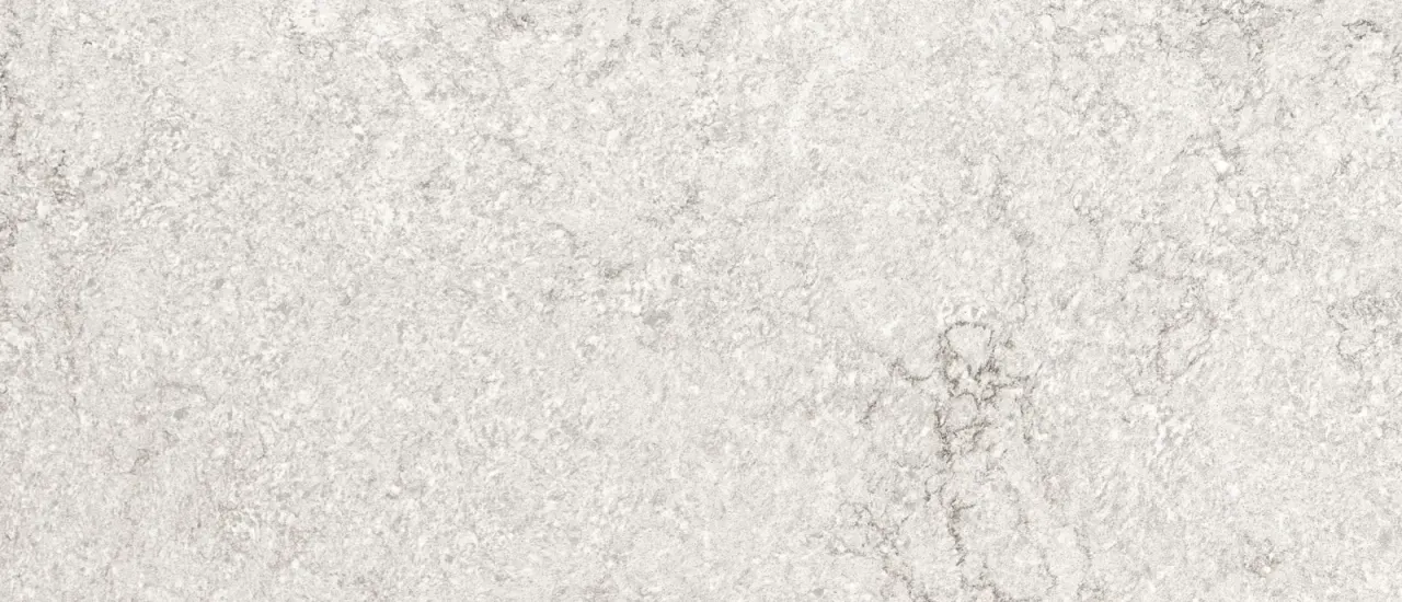 Gray Lagoon® - Concrete Finish - image 2