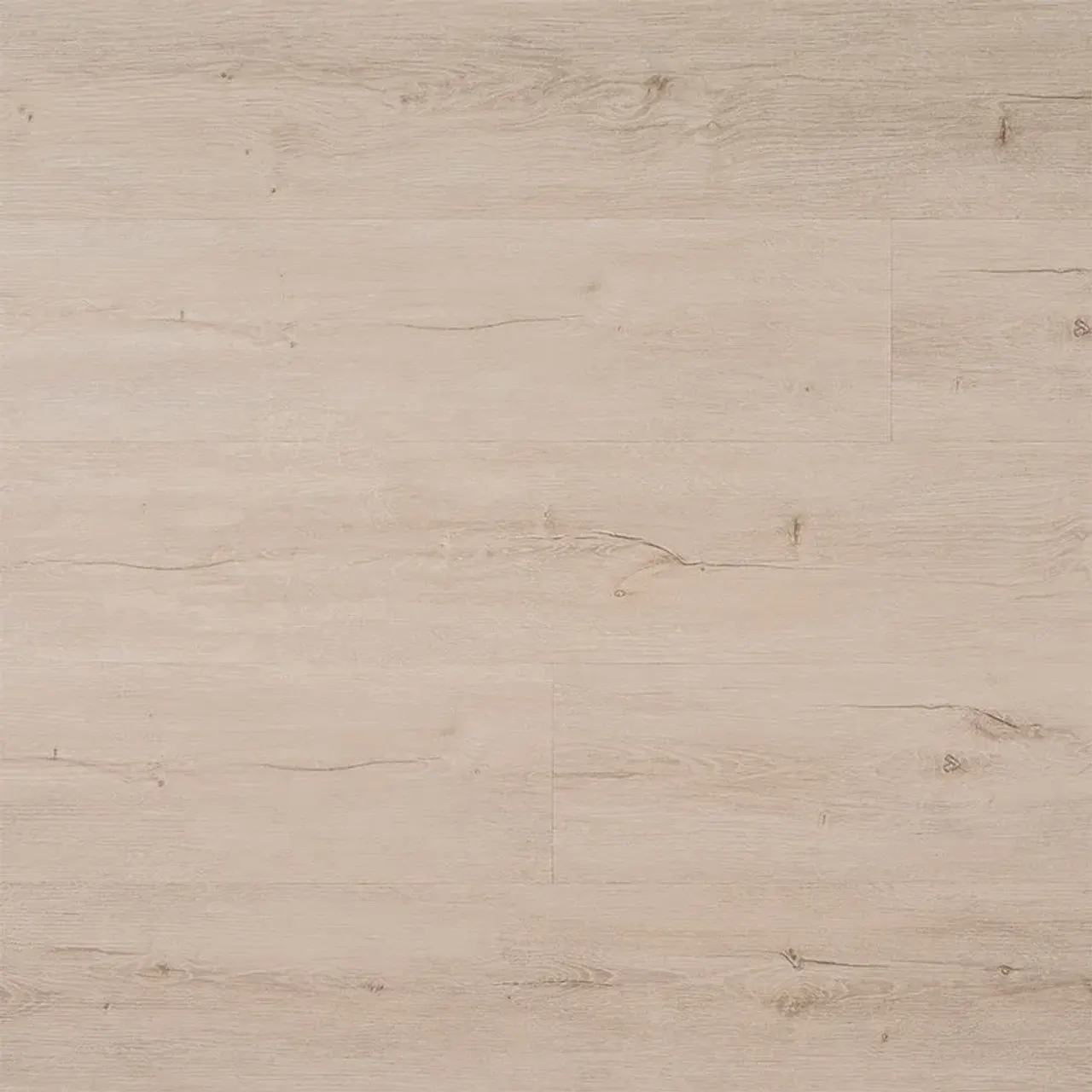 Shasta Grove - image 1